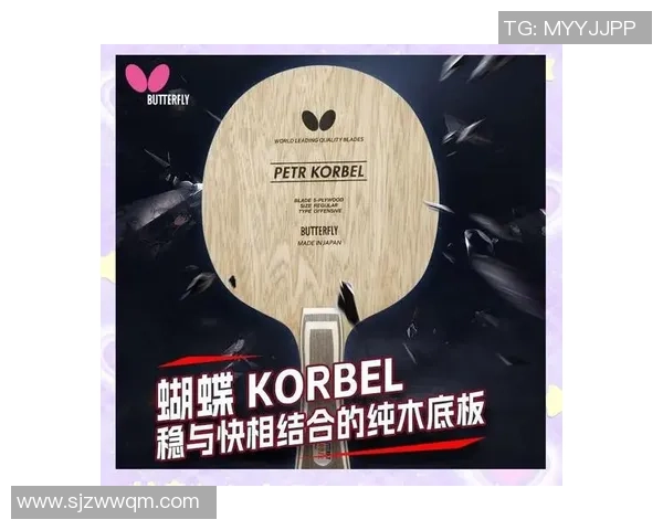 乒乓球装备选购指南及训练器材推荐助你提升球技